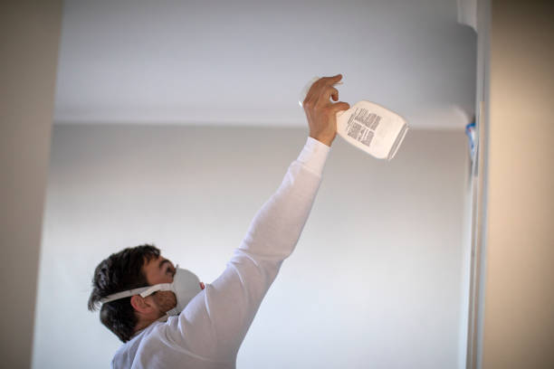 Best Affordable Mold Removal  in Garden City South, NY