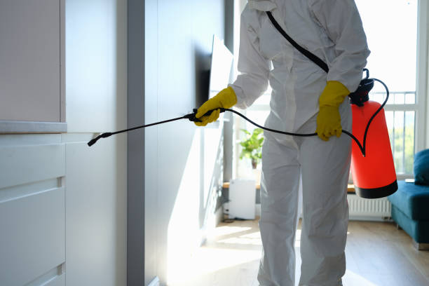 Best Office Mold Removal Services  in Garden City South, NY